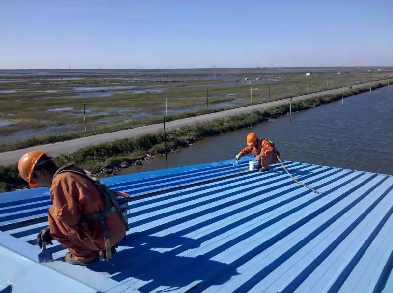 郸城钢结构屋面漏水原因